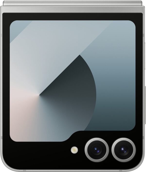 Samsung Galaxy Z Flip6 - 256GB - Silver Shadow